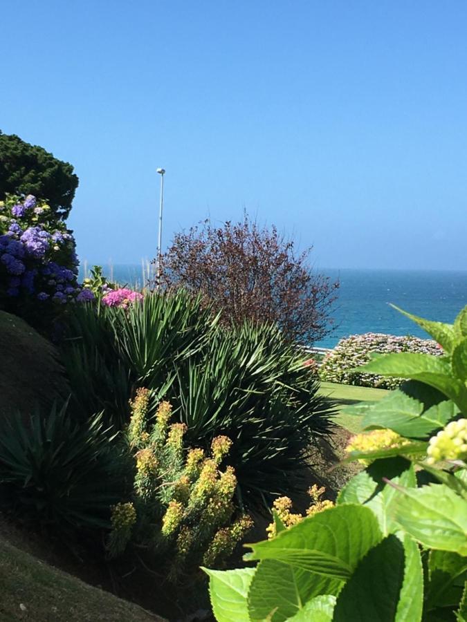Maisonnette, Residence Les Gites De Trestel Trévou-Tréguignec エクステリア 写真